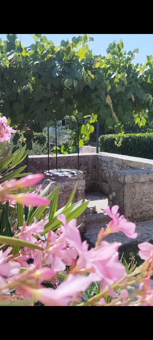 Villa D'Vita - House with a soul, Villa D'Vita with Pool, Tinjan, Istria, Croatia Tinjan